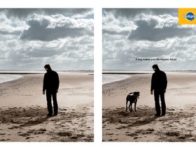 Dogs