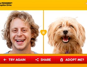 The Pedigree Adoption Drive