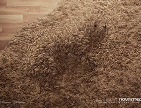 Hidden Allergy