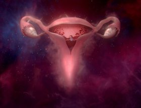 #wombstories