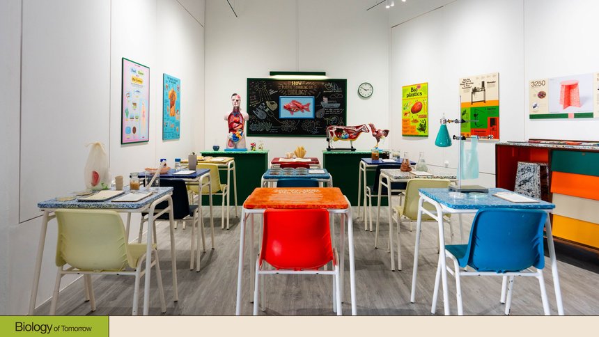 School of Tomorrow