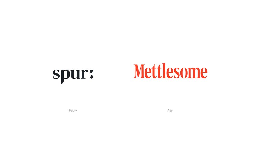 Mettlesome