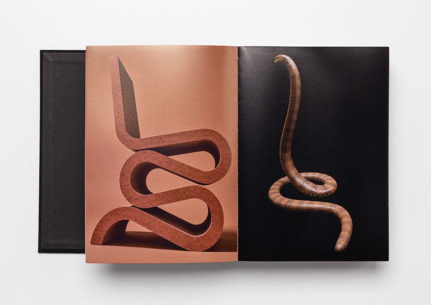 1001 Remarkable Objects