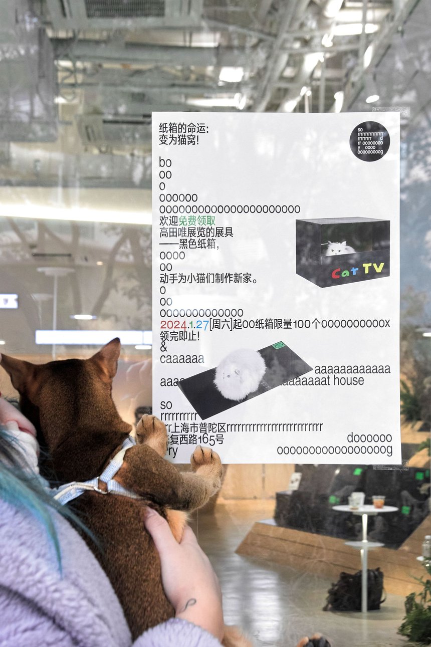Sorry Dog Cafe