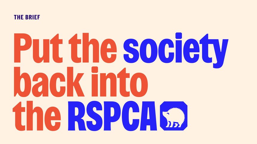 RSPCA: Everyone for Every Animal