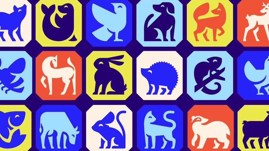 RSPCA: Everyone for Every Animal