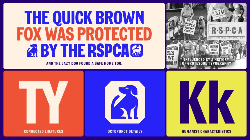RSPCA: Everyone for Every Animal