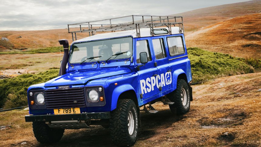 RSPCA: Everyone for Every Animal