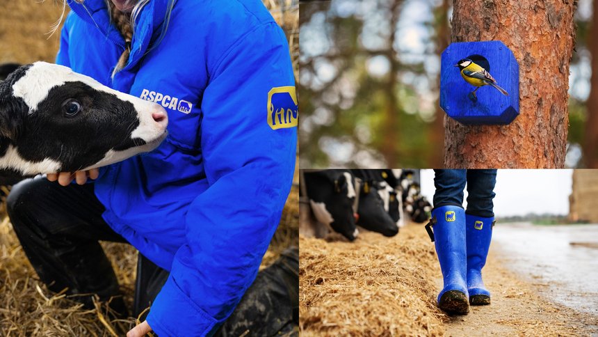 RSPCA: Everyone for Every Animal