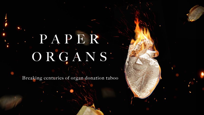 Paper Organs