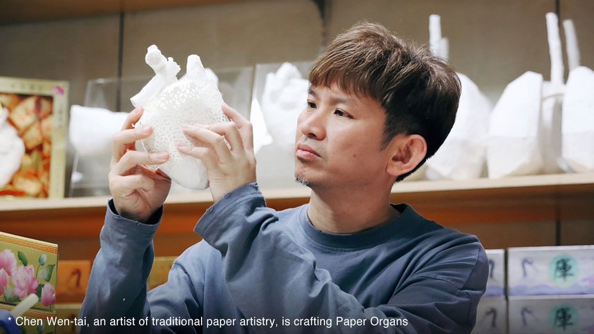 Paper Organs