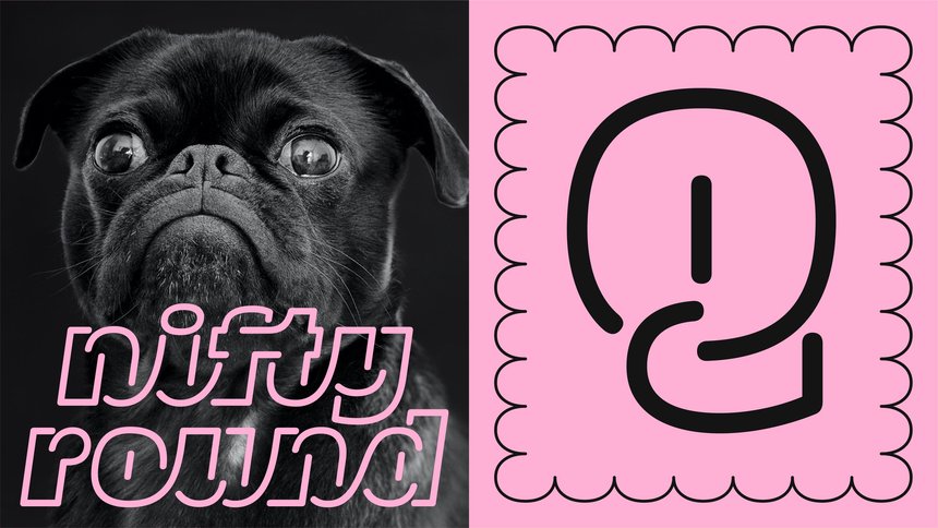 F37® Nifty