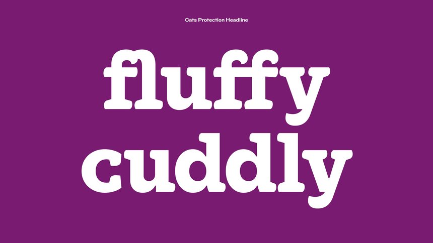 Cats Protection: Typeface Family