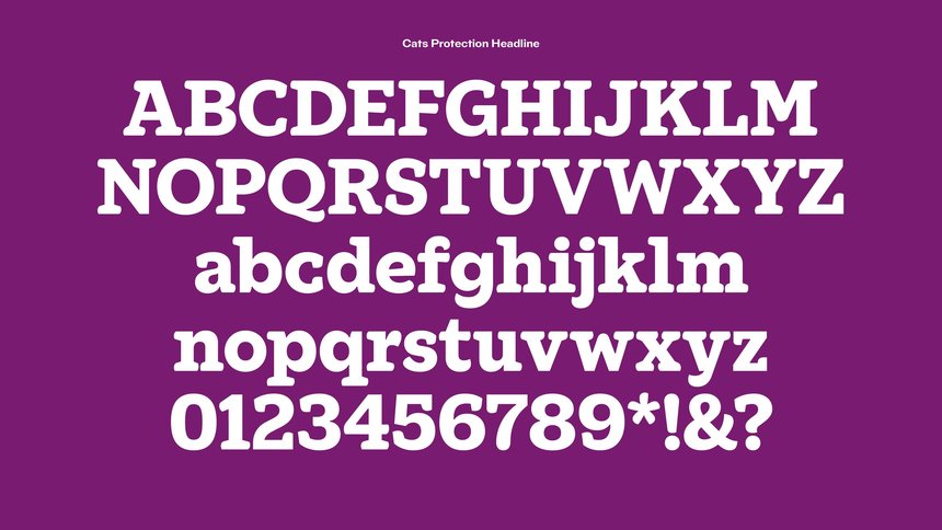 Cats Protection: Typeface Family