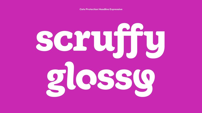 Cats Protection: Typeface Family