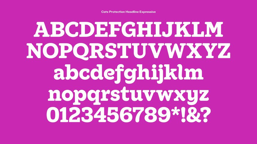 Cats Protection: Typeface Family