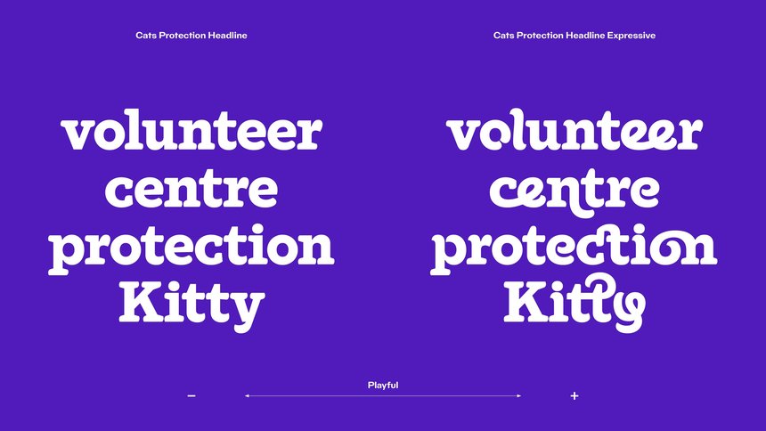 Cats Protection: Typeface Family