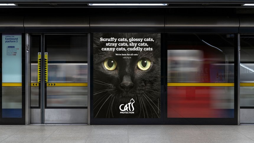 Cats Protection: Typeface Family