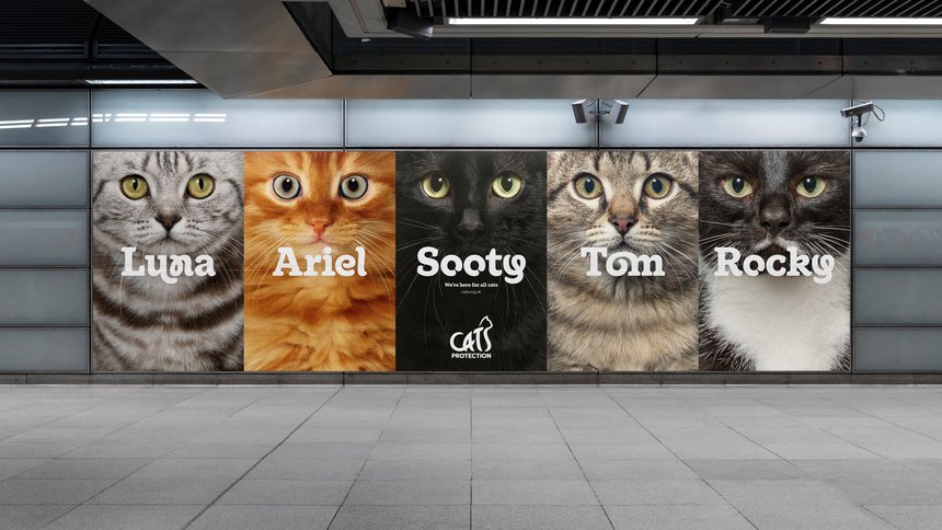 Cats Protection: Typeface Family