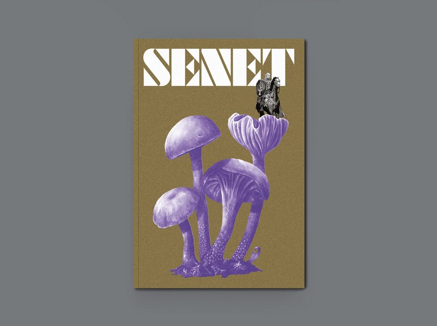 Senet Magazine