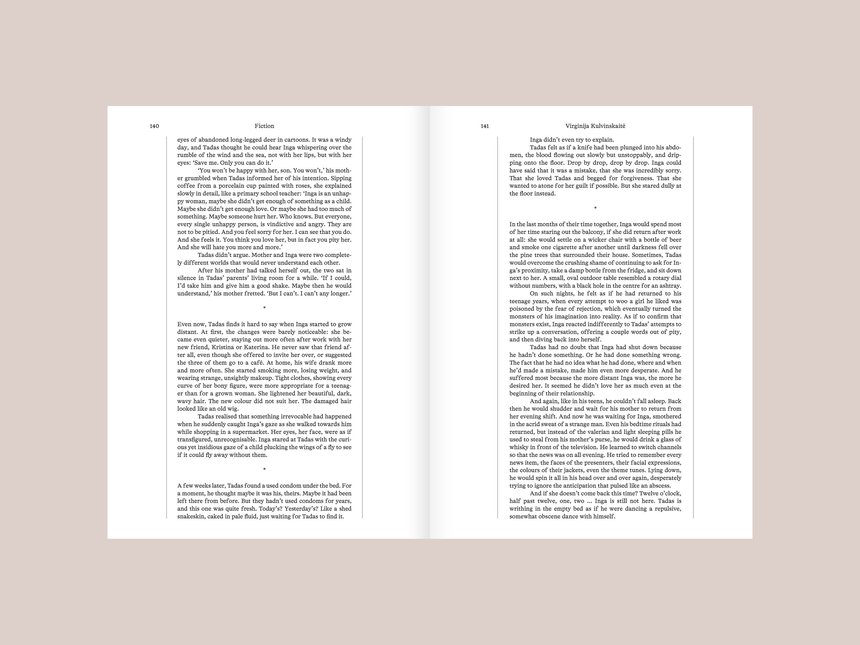 Vilnius Review Magazine
