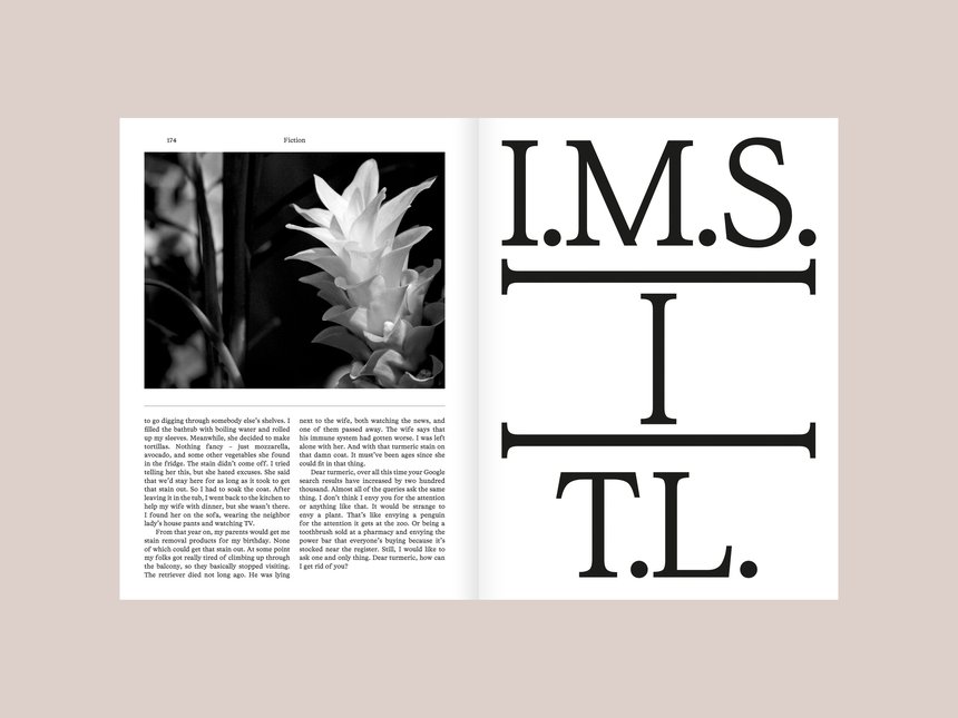 Vilnius Review Magazine