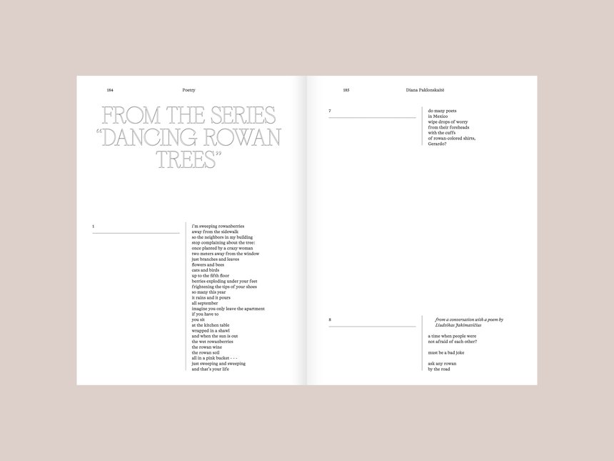 Vilnius Review Magazine