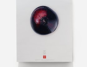 Onion Calendar