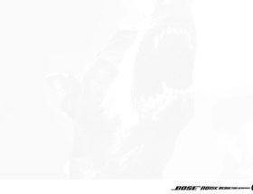Barking / Roaring / Screaming